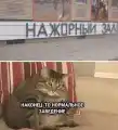 17739424955653.png