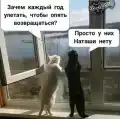 17741060504991.png