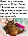 17741060504997.png