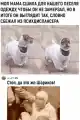 17741073665888.png