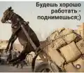 17741073665907.png