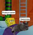 17741076159881.png
