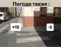 17741076159891.png