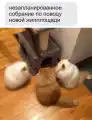 17741092293853.png