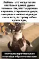 17741092293909.png