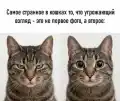 17741092293919.png