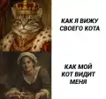 17741092293925.png