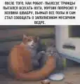17741151803191.png