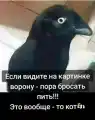 17741151803208.png