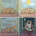 17741155838185.png