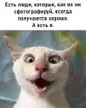 17741168808443.png