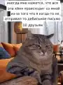 17742771894082.png