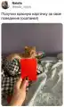 17742771894092.png