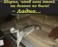 17742771894104.png