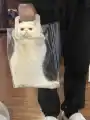 17742796245529.png