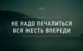 17742906924891.png