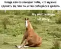 17742906924933.png