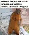 17742910017871.png
