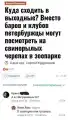 17743753266399.png