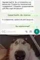 17743769793369.png
