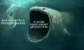 1774381162309125.jpg