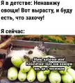 17744654444054.png