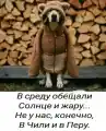 17744671117574.png