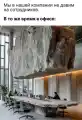 17744681219812.png