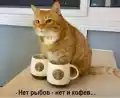 17744681219822.png