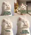 17744681219836.png