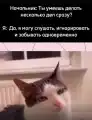 1774588106038047.jpg