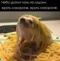 1774636687256376.jpg