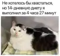 1774692967616355.jpg