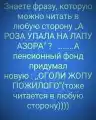 17747162128800.png