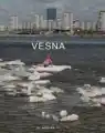 17747171109187.png