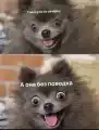 17747171109205.png