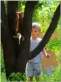 1774757533298488.jpg