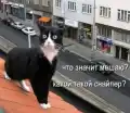 17748703144485.png