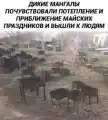 17748703144492.png