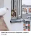 17748703144535.png