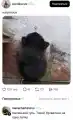 17748704963156.png