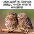 17748753389483.png