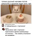 17748779177819.png