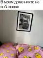 17748779177848.png