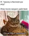 17748779177855.png