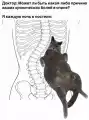 17748785839173.png