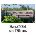 17748785839184.png
