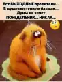17748785839256.png