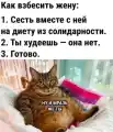 17749771329451.png