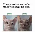 17749771329465.png